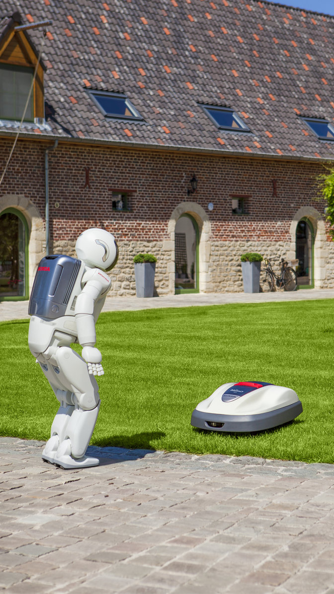 Miimo en Asimo, tuinlocatie.