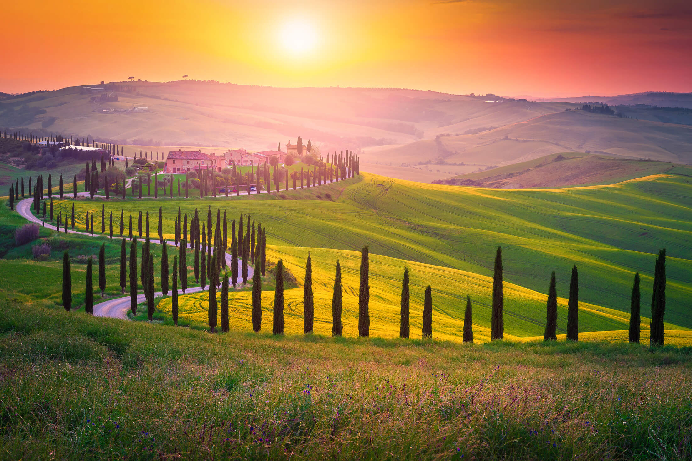 Zonsondergang in het Italiaanse Toscane met cipressen langs een weg