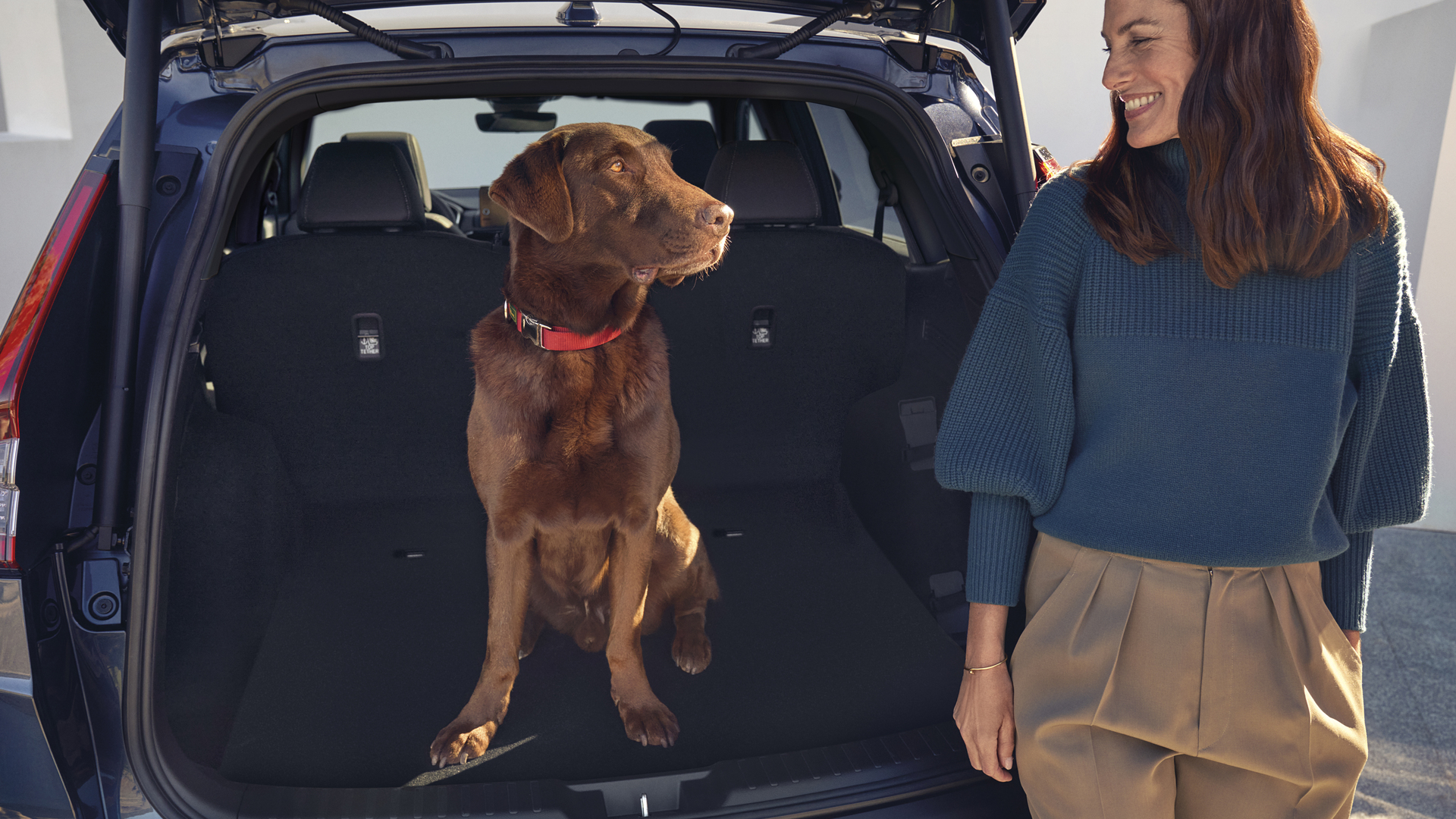 Achterwaarts geplaatste Honda CR-V Hybride met hond en model zittend in de kofferruimte.