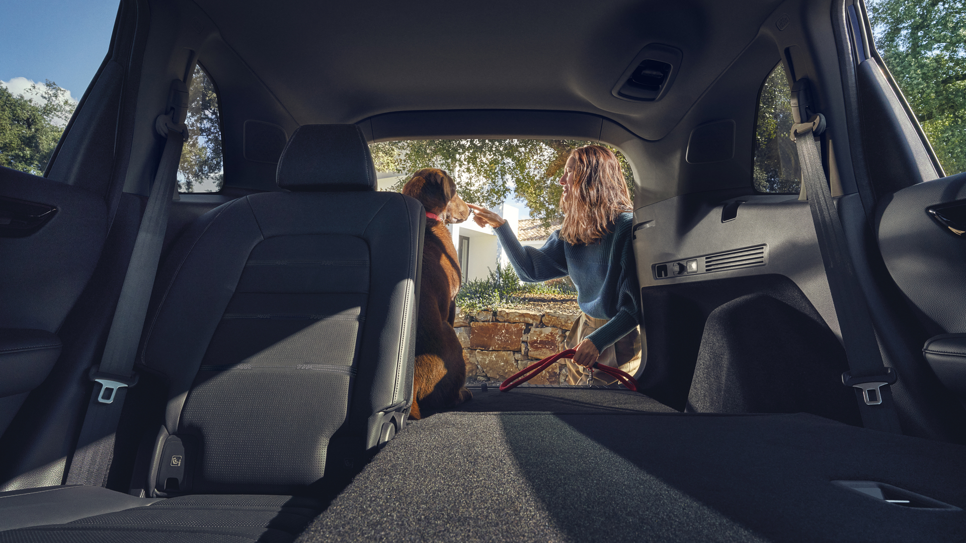 Achterzijde van de Honda CR-V Hybrid met neergeklapte achterbank en een hond in de kofferbak.