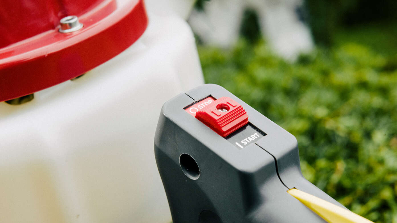 heggenscharen van dichtbij