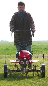 Minituinfrees, vooraanzicht, in gebruik door model, met focus op ontmosser, tuinlocatie.