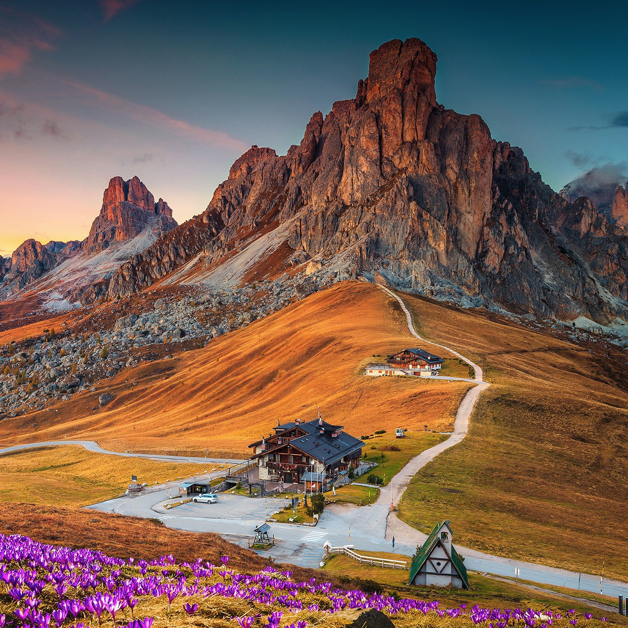 Prachtig alpenlandschap met een heuvel vol lentekrokussen en spectaculaire bergen bij zonsondergang, Giau pas, Dolomieten, Italië, Europa