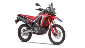 Honda crf hot sale l rally