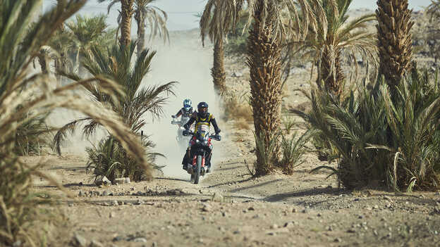 Africa Twin-rijders die door een oase rijden.