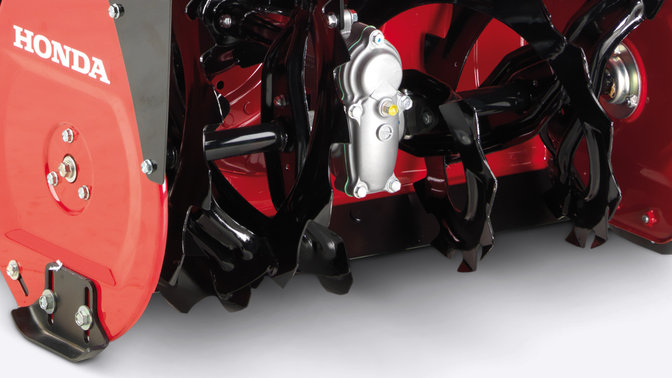 Close-up van vijzel.