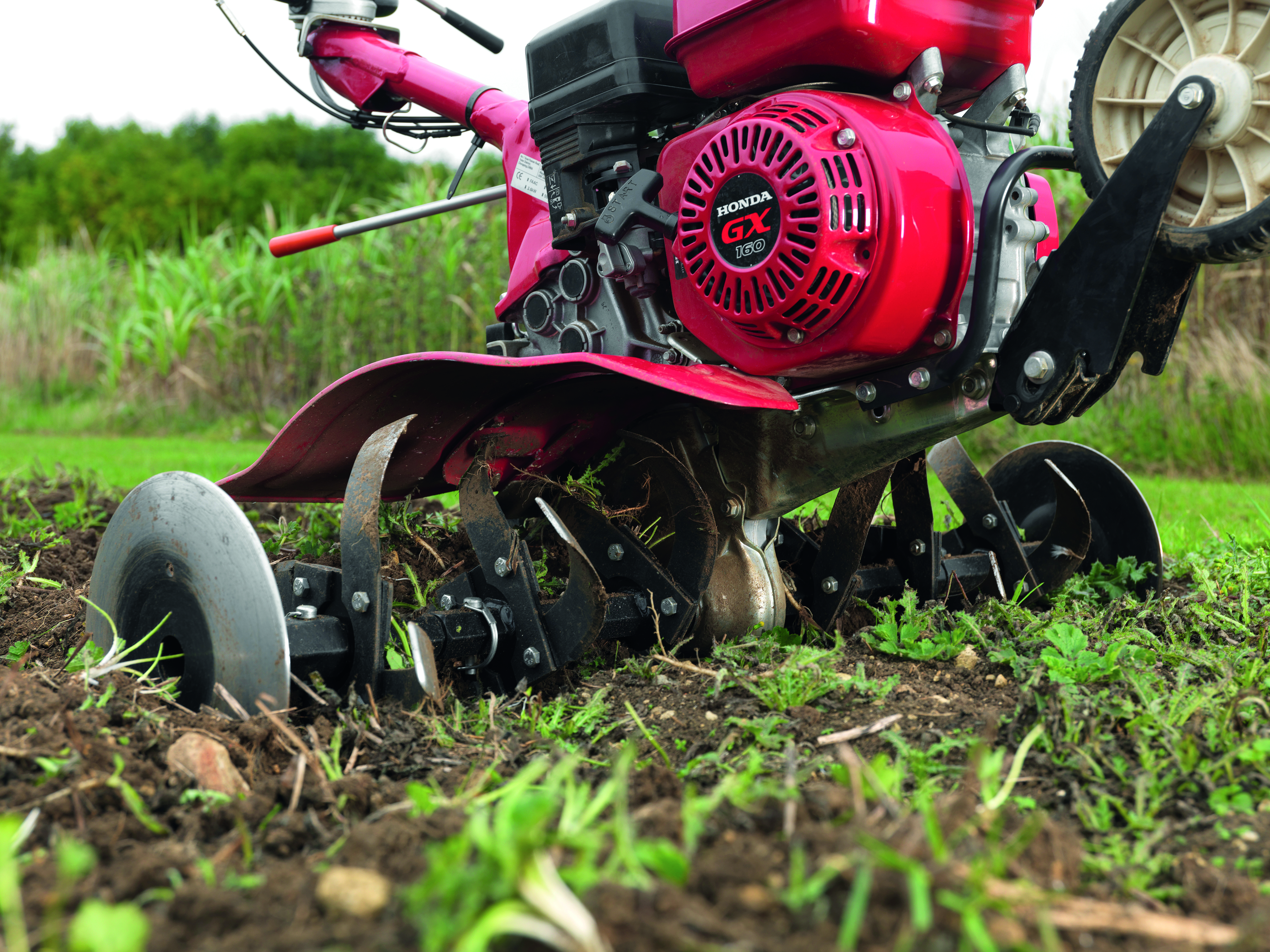 Tuinfrees: frees grond om gazon voor te bereiden