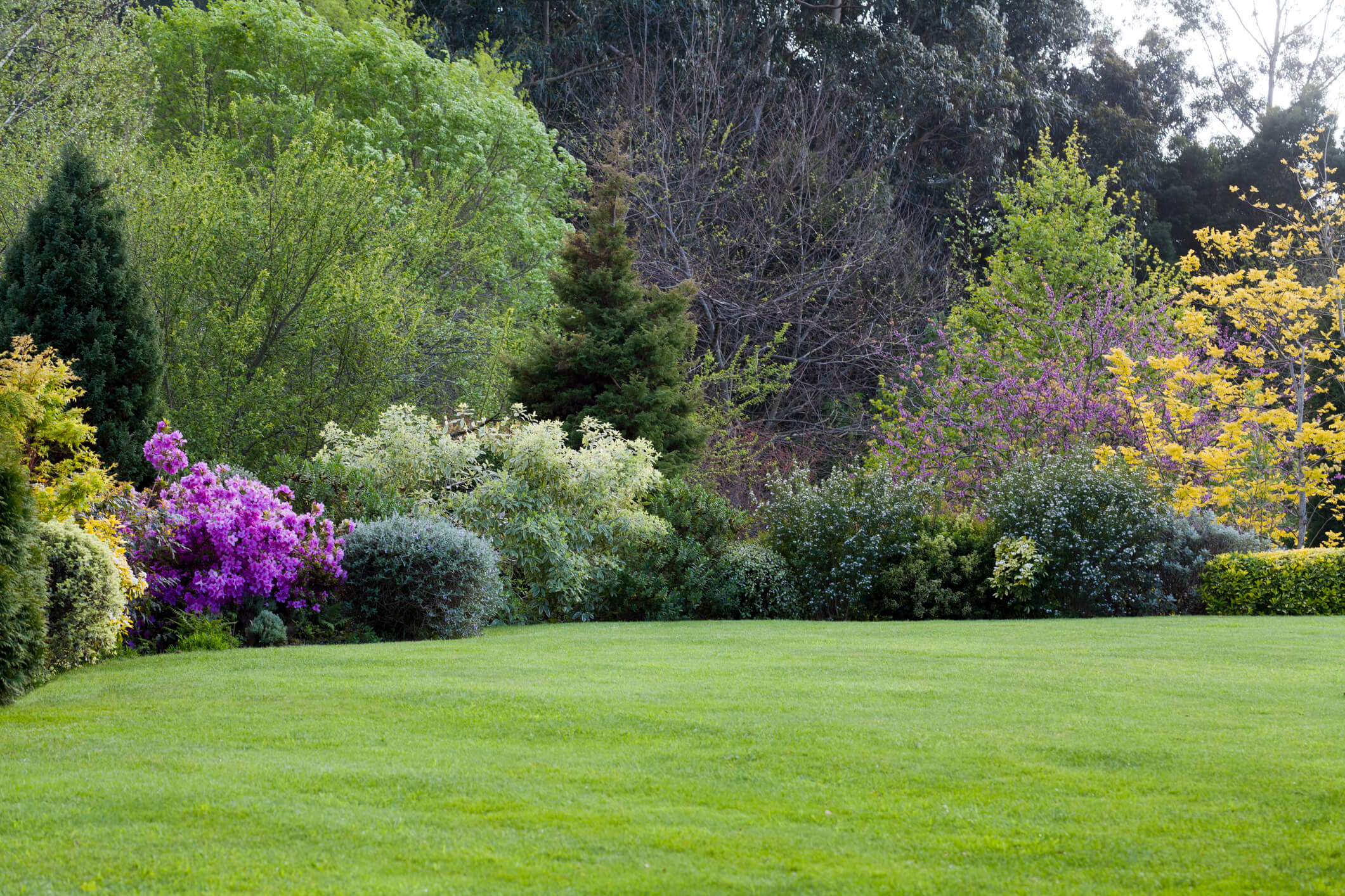 5 Tips voor het onderhoud van een grote tuin