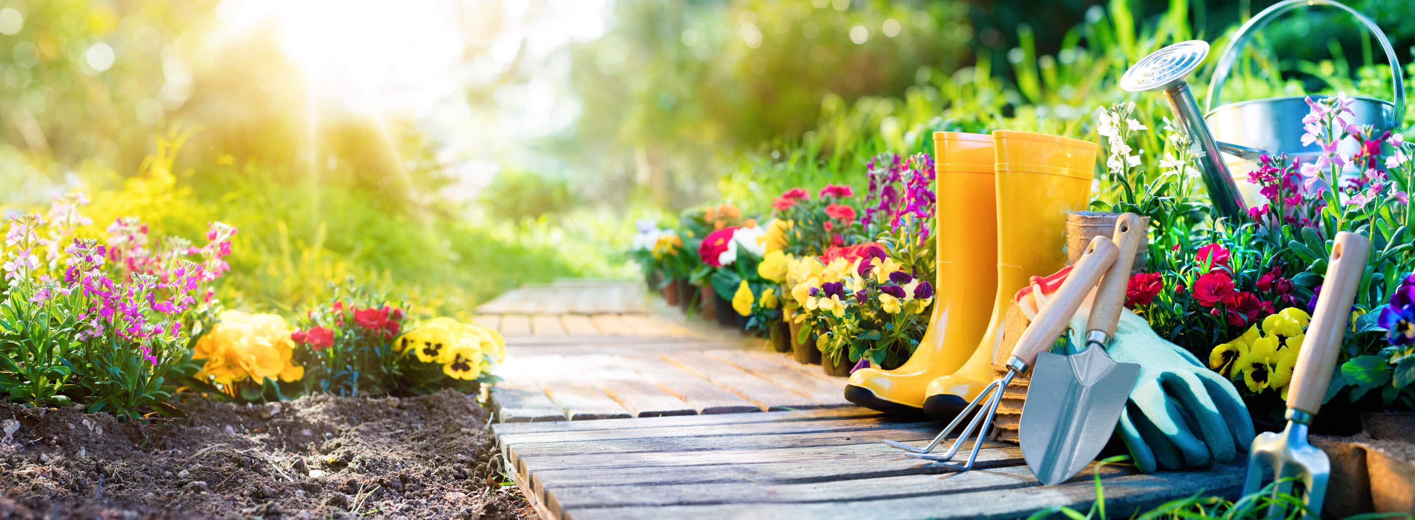 Je tuin zomerklaar maken in 5 stappen